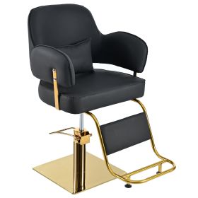 Metal Hairstyling Salon Chair (Option: Golden Black)